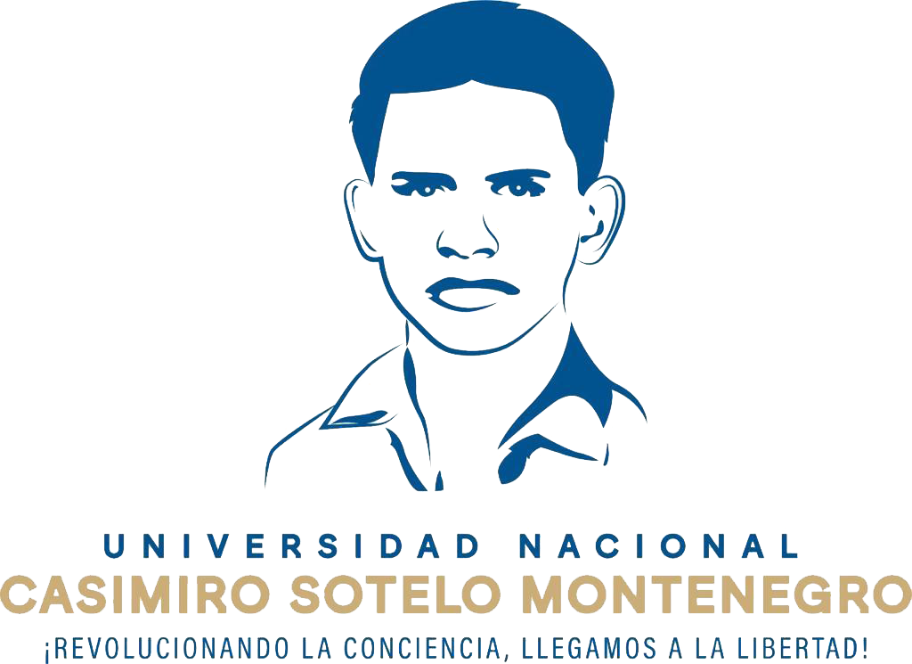 Aula Virtual Universidad Nacional Casimiro Sotelo Montenegro